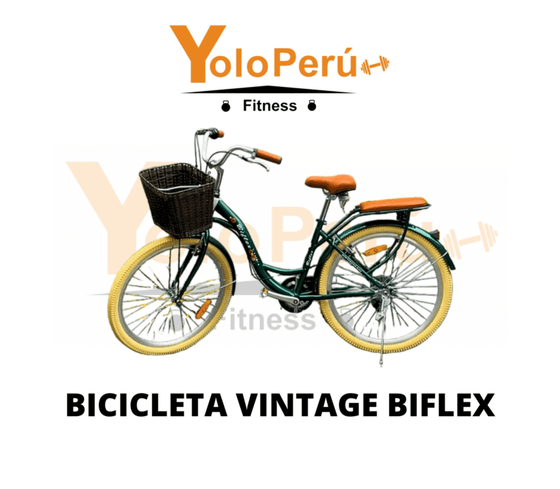 BICICLETA VINTAGE BIFLEX - Imagen 2