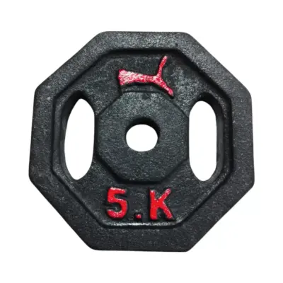 DISCOS 5KG HIERRO