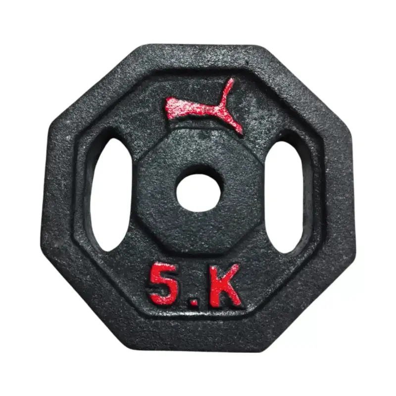 DISCOS 5KG HIERRO