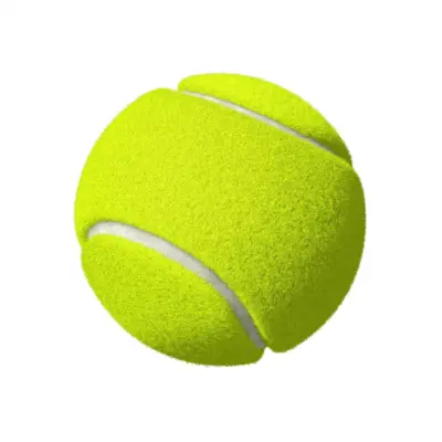 PELOTA DE TENIS