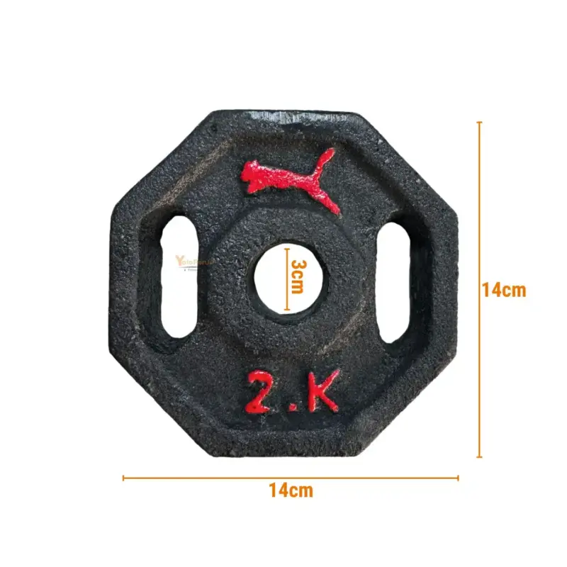 DISCOS 2KG HIERRO - Imagen 2