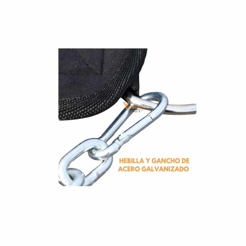 CINTURON LASTRE LONA IMPORTADO XFIT XF-3050 - Imagen 5