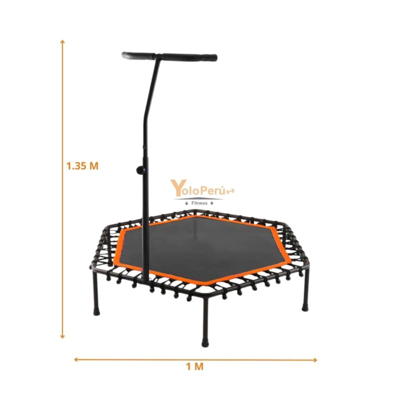TRAMPOLIN CON SOPORTE 100CM X 135CM REAL FITNESS - Imagen 3