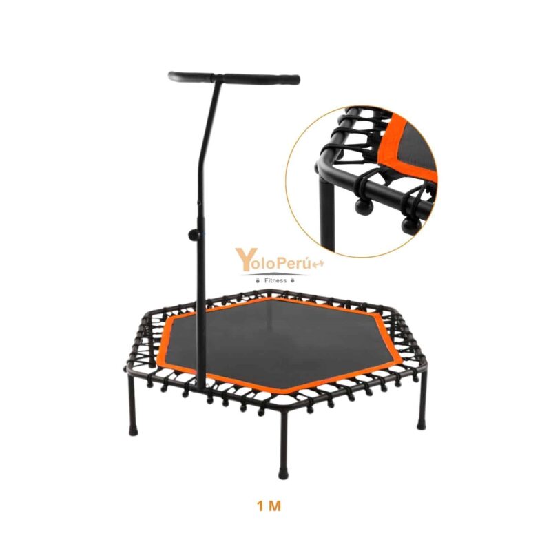 TRAMPOLIN CON SOPORTE 100CM X 135CM REAL FITNESS - Imagen 6